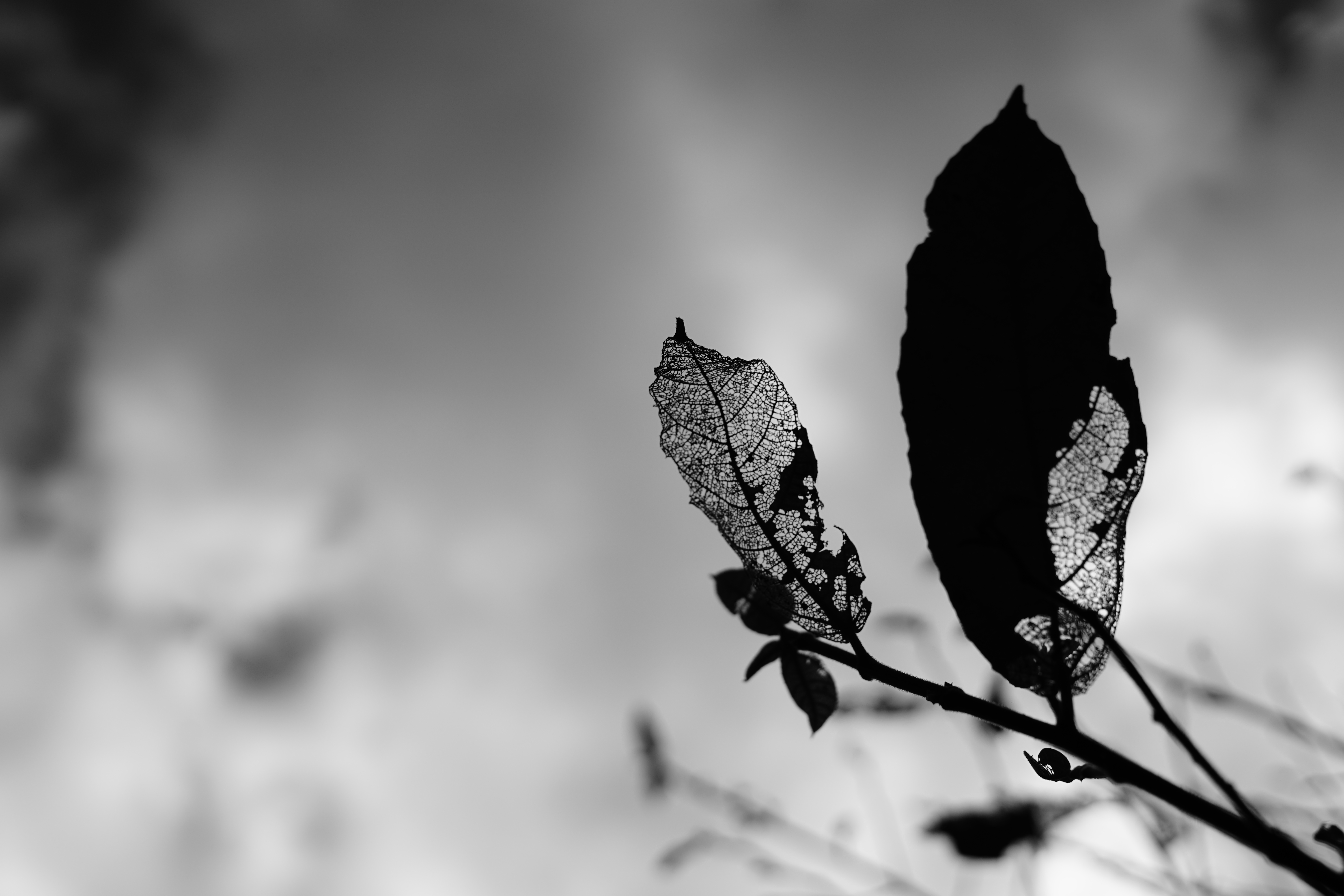 HITOSHI KATAOKA PHOTOGRAPHER